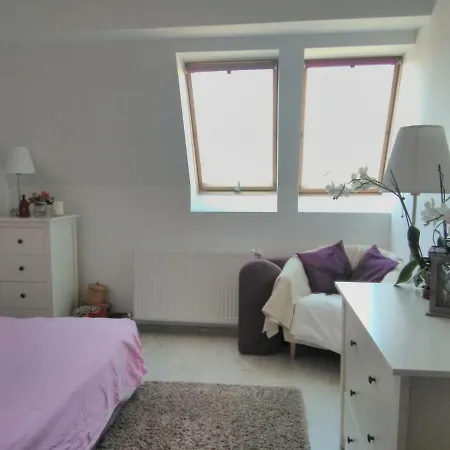 דירה Timisului Apart