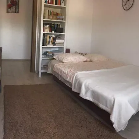 Timisului Apart דירה