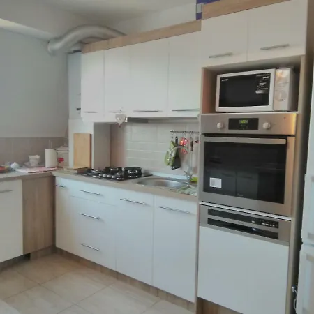 Timisului Apart דירה *